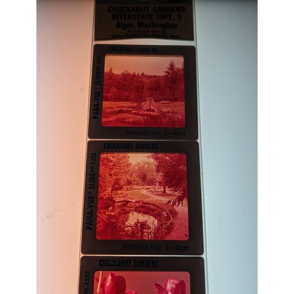 Vintage GAF Pana-Vue Slides Chuckanut Gardens Alger Washington Lot of 5 PV125 - Picture 8 of 10
